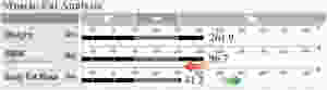 InBody Muscle Anaylsis