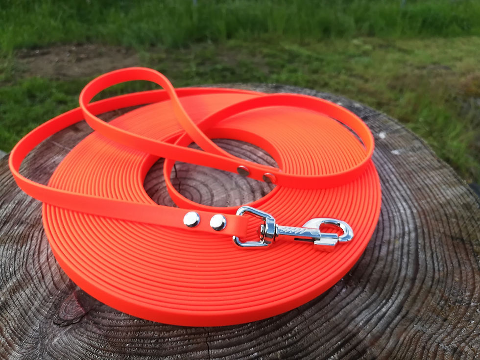 Miniaturbild: Longe Kurzlonge BioThane® 13mm konfigurierbar
