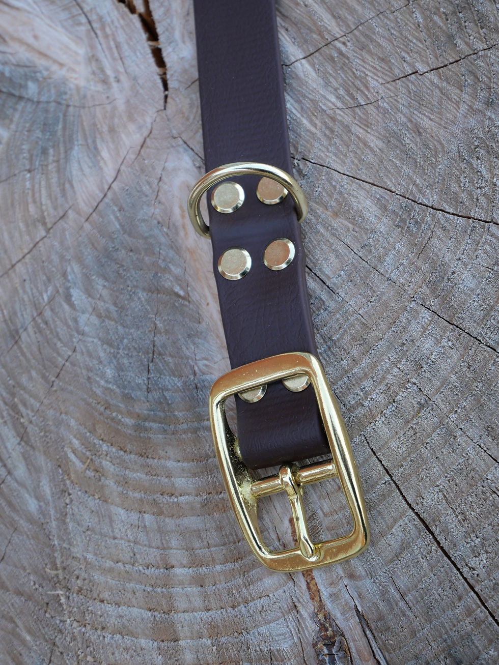 Miniaturbild: Hundehalsband aus BioThane® mit Doppelstegschnalle 25mm breit
