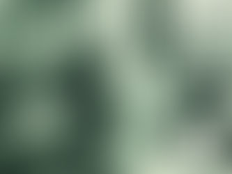 Emilio Prini – Typewriter Drawings. Bologna/München/Roma –1970/1971