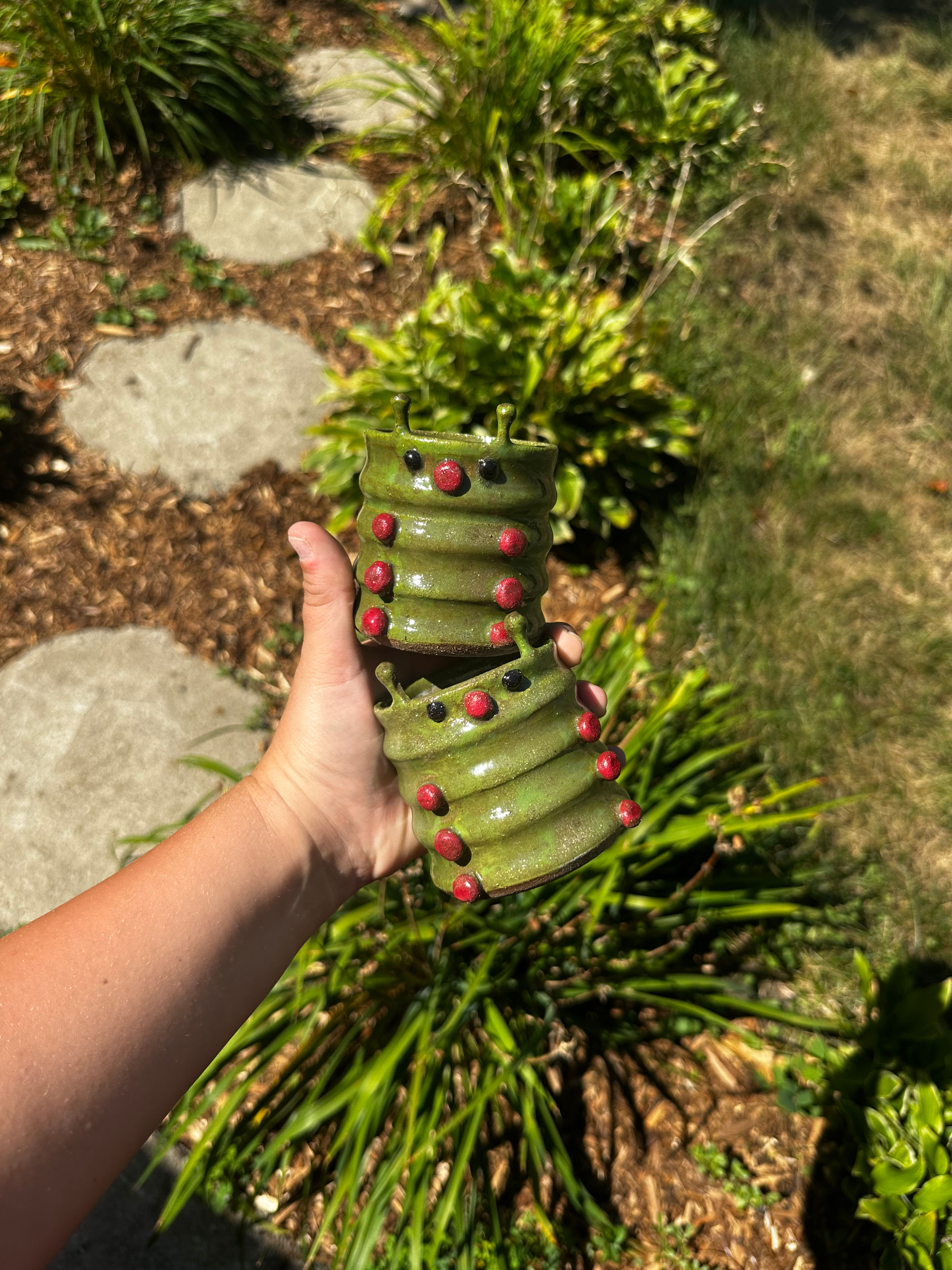 Cattapillar cup 