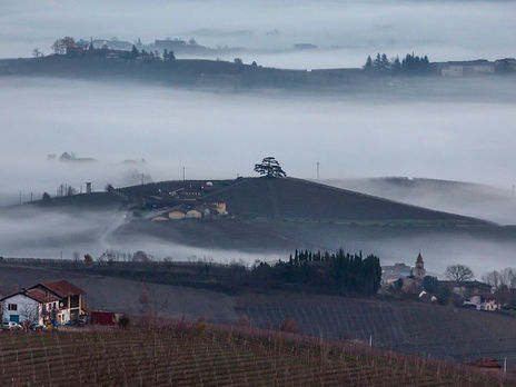 Legni, afa e nebbie nutrono un mito secolare: l'aceto balsamico