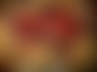 L'ho capito io il bisonte