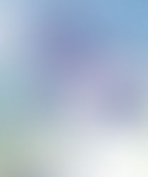 La città del Sole. Arte barocca e pensiero scientifico nella Roma di Urbano VIII