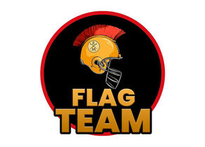 Entrenadores de FLAG