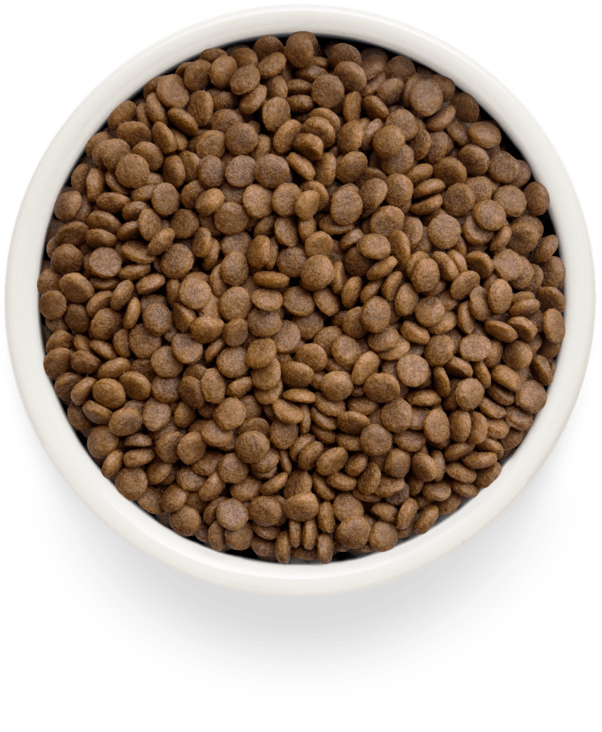 Sīktēls: GRANDORF Fresh Adult Turkey 2 kg barība kaķiem
