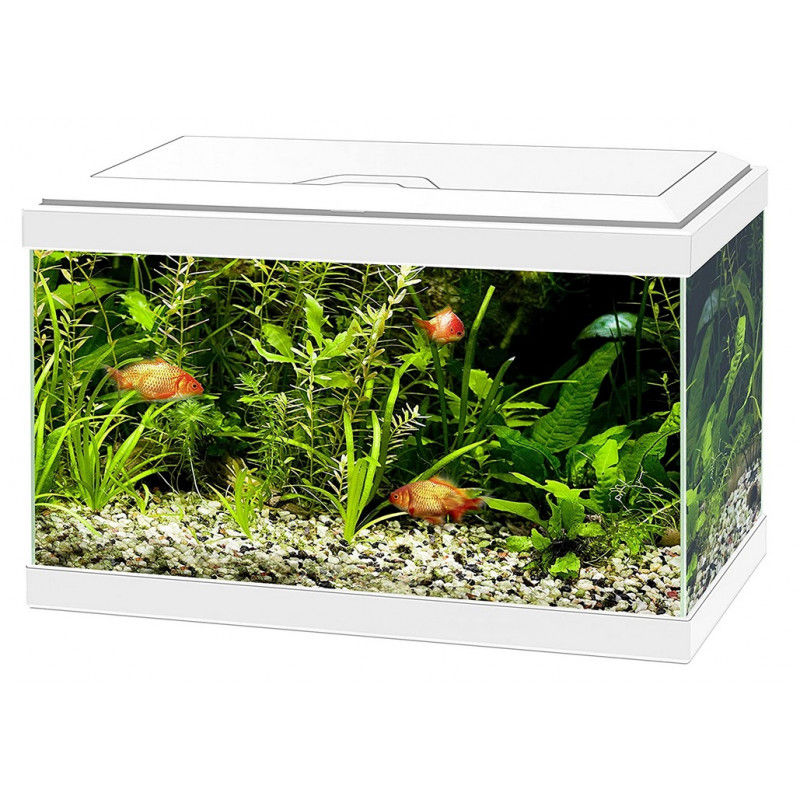 CIANO Aqua 20 LED White 17 ltr aprīkots akvārijs