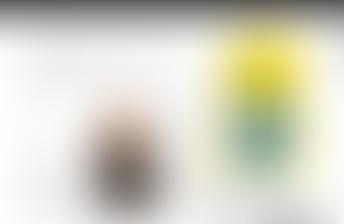 Advokatės Sabinos Izokaitienės komentaras LRT.LT