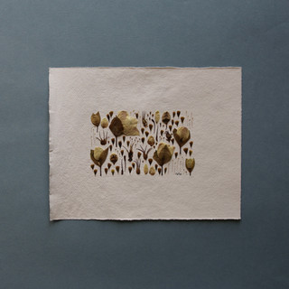 Deconstructed Hellebore
