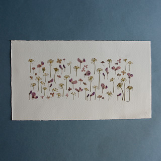 Wild Sweet Peas, Dill and Paniculata Hydrangea Petals