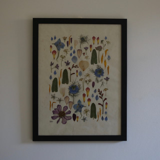 Oxypetalum, dahlia, delphinium, crocosmia and nigella flowers