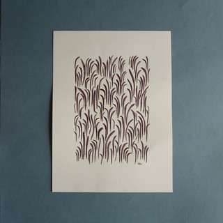Purple chrysanthemum petals