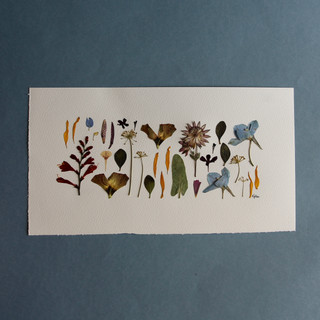 Crocosmia, Dahlia, Lizzie, Delphinium, Astrantia, Dill and Fritillaria Petals