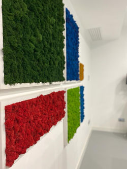 Green restyling