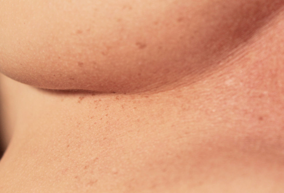 Cuerpo y Pintura.
