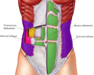 The only real way to get Abs. Bold Buck Style
