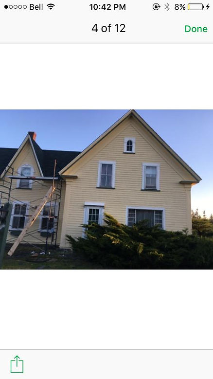roof and paint.jpg