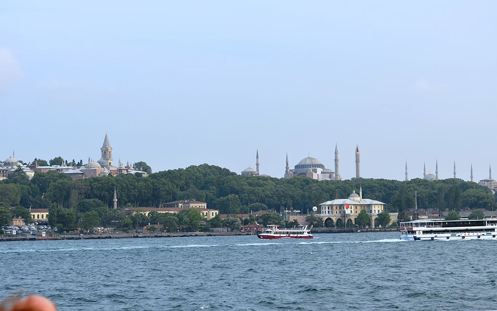 DSC_8193.JPG