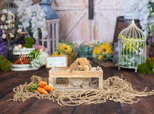 EASTER_BUNNYLOGO-1-2.jpg