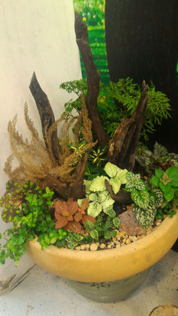 P_20160303_111427_1_p