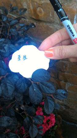 P_20160303_092742_1_p