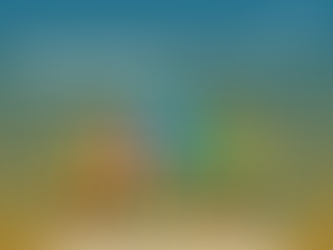 The Top Features to Look for in Bingo Software