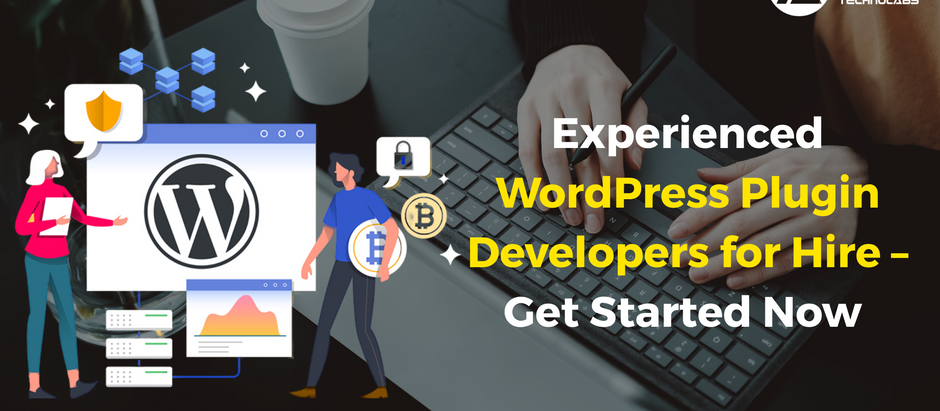 Experienced WordPress Plugin Developers for Hire – Get Started Now 