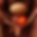 ChatGPT Image 1 dic 2025, 18_19_04.png