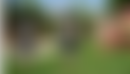 Bitmoji Freebie- Transparent Face Shield