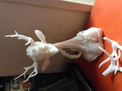 adam nicolas impression 3D (13)