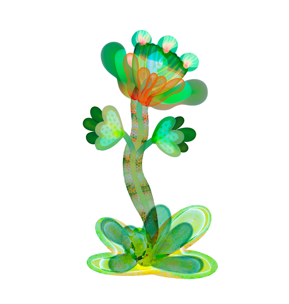 Fantasy Full Force Flora, #2