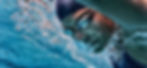 Swimming header.jpg