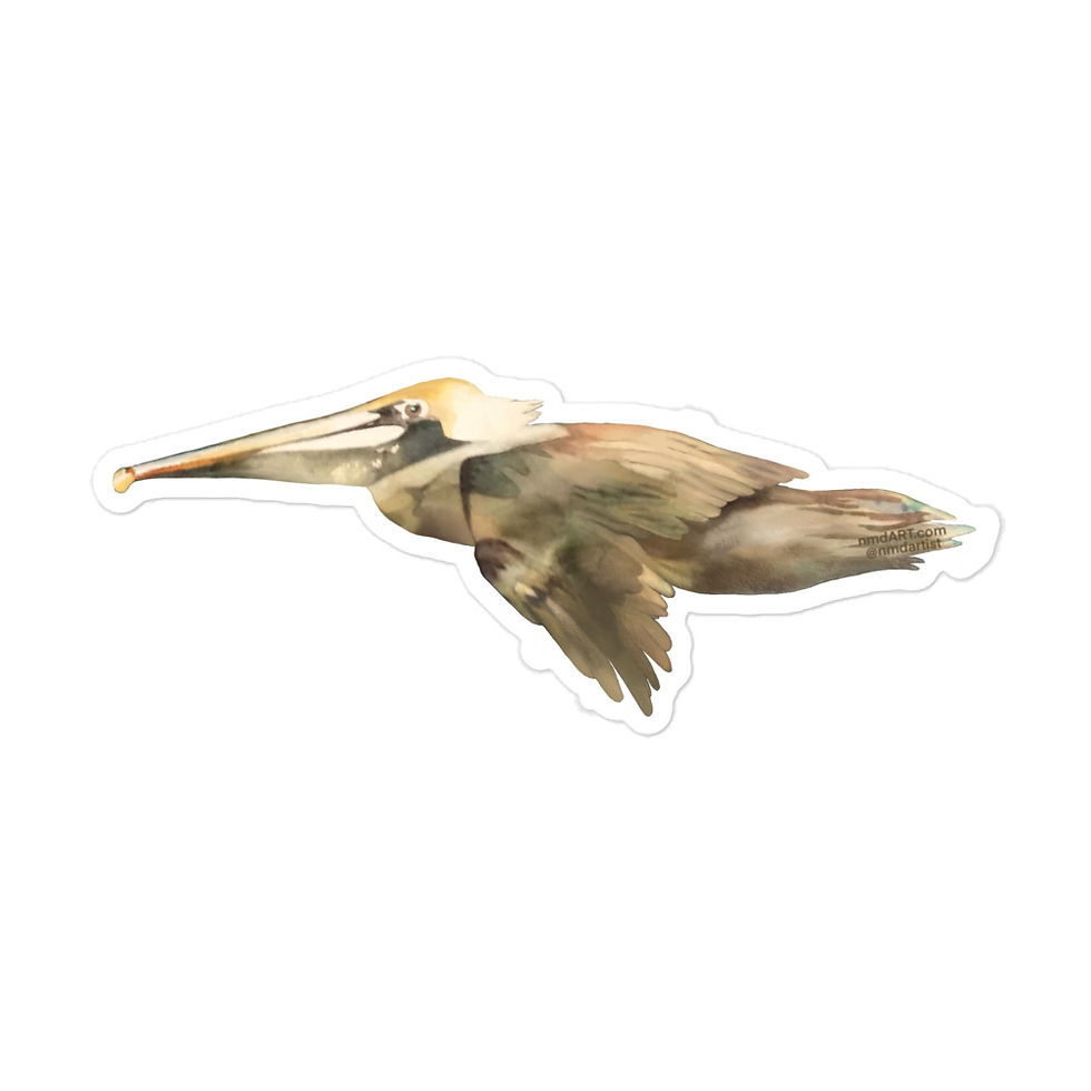 Thumbnail: Flying Pelican by Nancy Murphree Davis