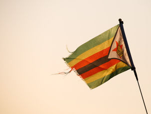 How Transparency and Trust Led to a Successful Partnership with Zimbabwe National Parks and Wildlife