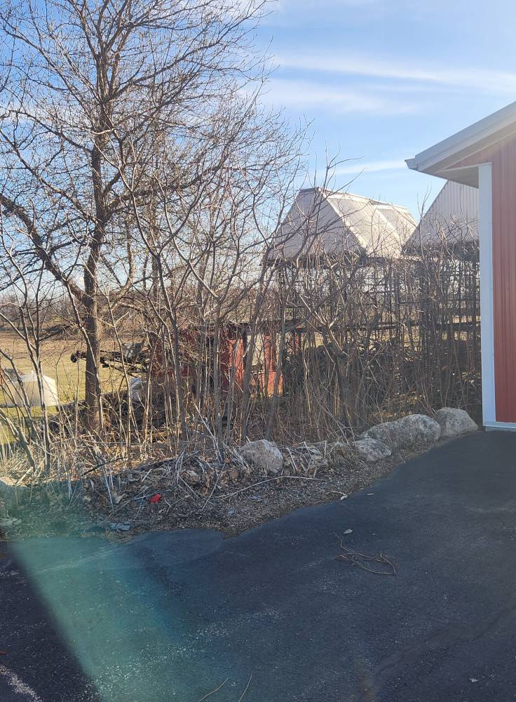 New tree cutting service in Stockbridge, Wisconsin