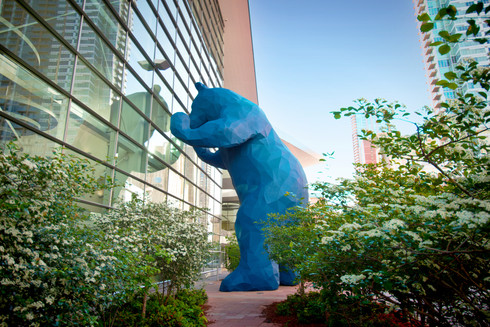 Big blue bear.jpeg