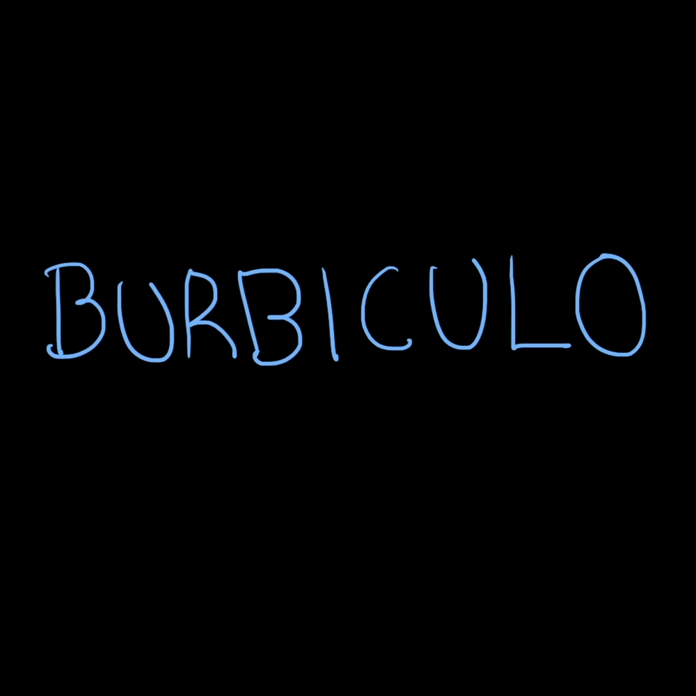 Burbiculo