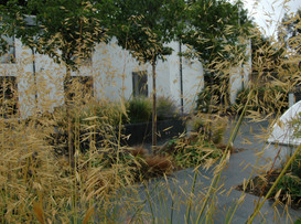 Contemporary Garden Design Leeds 04