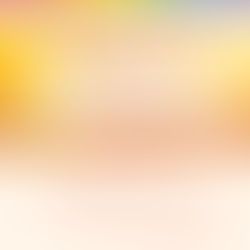 Support OHKF's Global Bay Area Economic Forum 2025