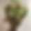 Thumbnail: Eco Wrap