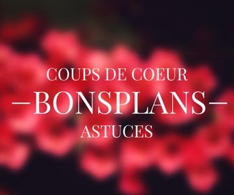 CONCOURS (2)