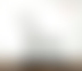 干支の置物「午」