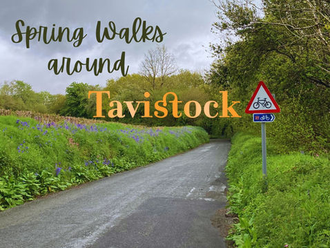 Best Spring Walks around Tavistock