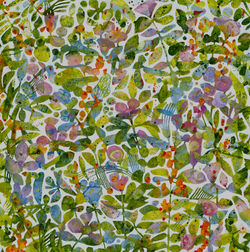 Sea Tangle crop