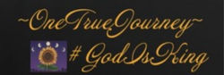 One True Journey