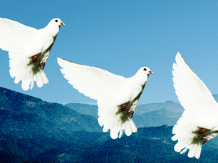 Doves in the sky