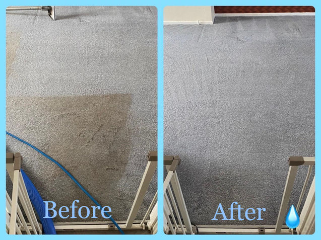 Side-by-side comparison of a carpet before and after professional cleaning. Left side shows dirty, stained carpet mid-clean with visible hose; right side shows fully cleaned, bright carpet.
