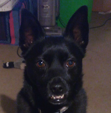 IMG_20161203_195128 (1)_edited.png