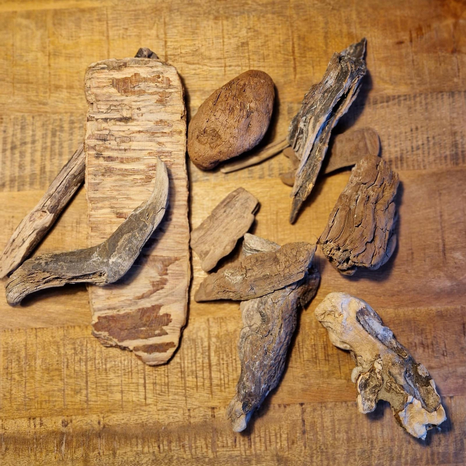 20206 - Treibholz (Set)