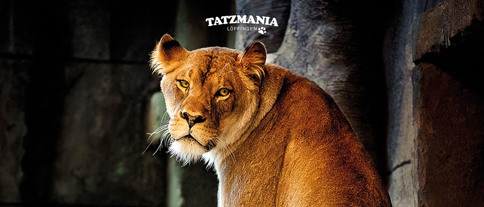 "Tatzmania" in Löffingen